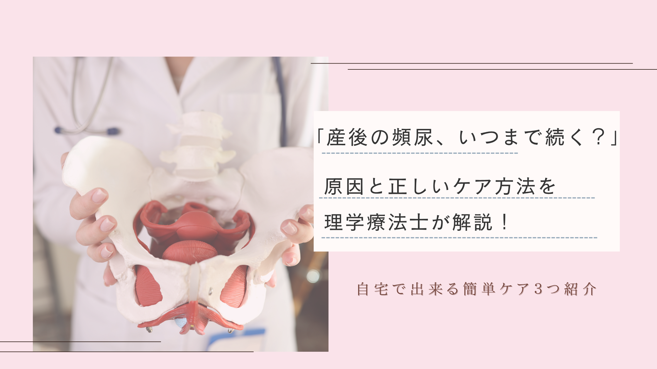 産後の頻尿いつまで続く？産後の頻尿の原因と正しいケア方法を理学療法士が解説